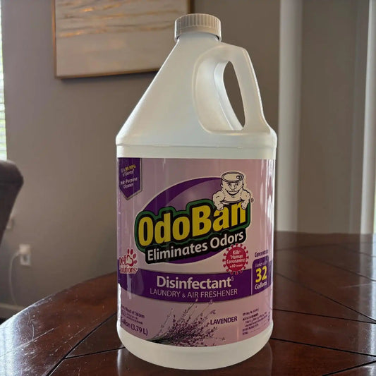 OdoBan Ready-to-Use Disinfectant and Odor Eliminator, Made in the USA, Lavender Scent, Set of 2, 32 oz Spray and 1 Gallon Concentrate