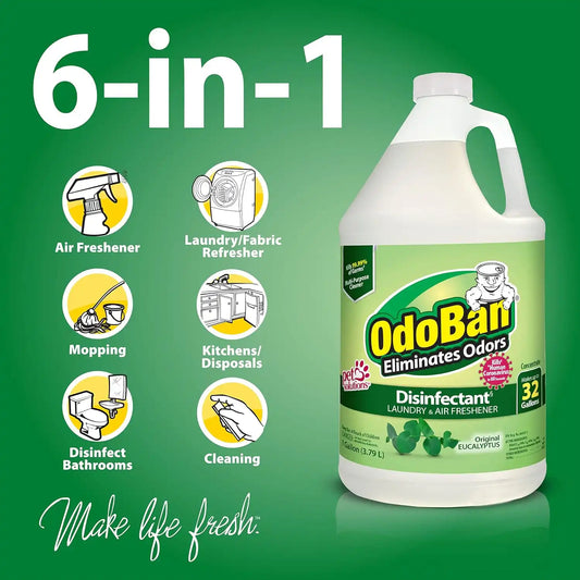 OdoBan Ready-to-Use Disinfectant and Odor Eliminator, Made in the USA, Original Eucalyptus Scent, Set of 3, 2 Spray Bottles, 32 Ounces Each and 1 Gallon Concentrate